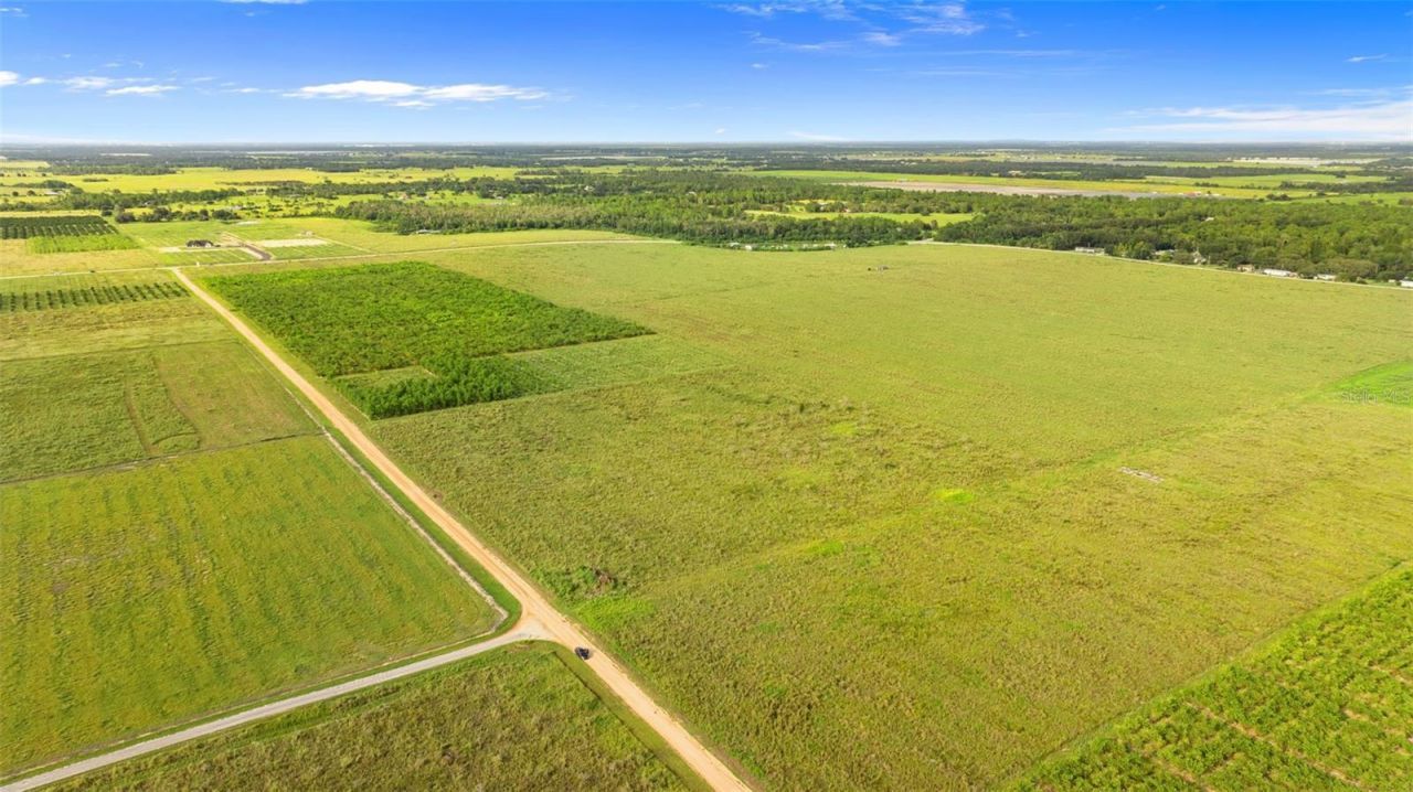 Garfield Road, Fort Meade, FL 33841 Photo