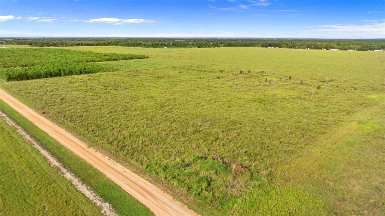 Garfield Road, Fort Meade, FL 33841 Photo
