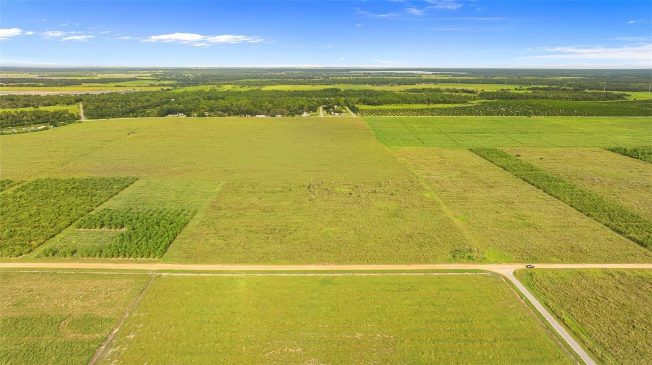 Garfield Road, Fort Meade, FL 33841 Photo