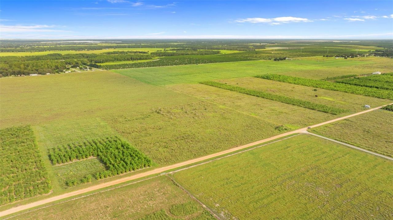 Garfield Road, Fort Meade, FL 33841 Photo