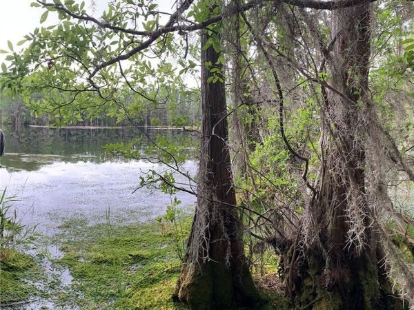 SW TOWER ROAD, LEE, FL 32059