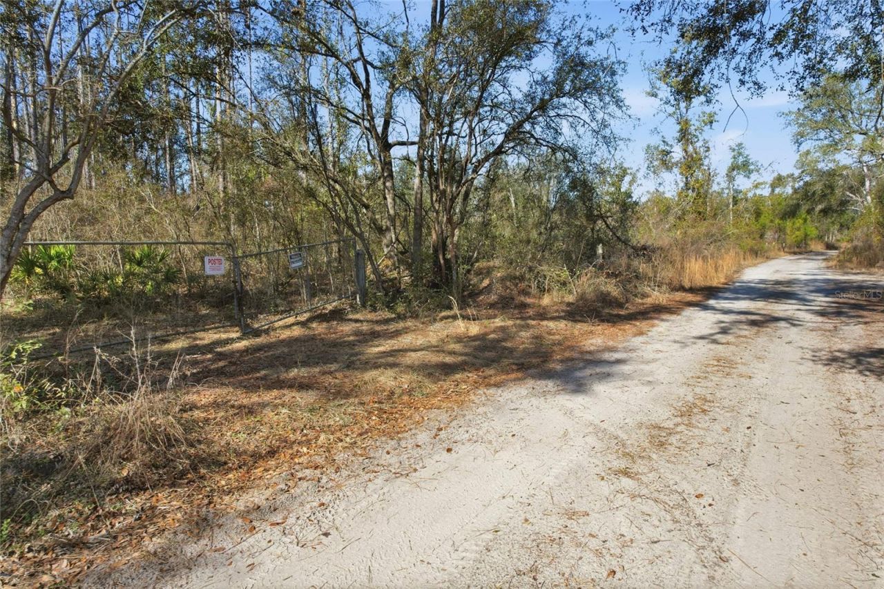 Sw Tower Road, Lee, FL 32059 Photo