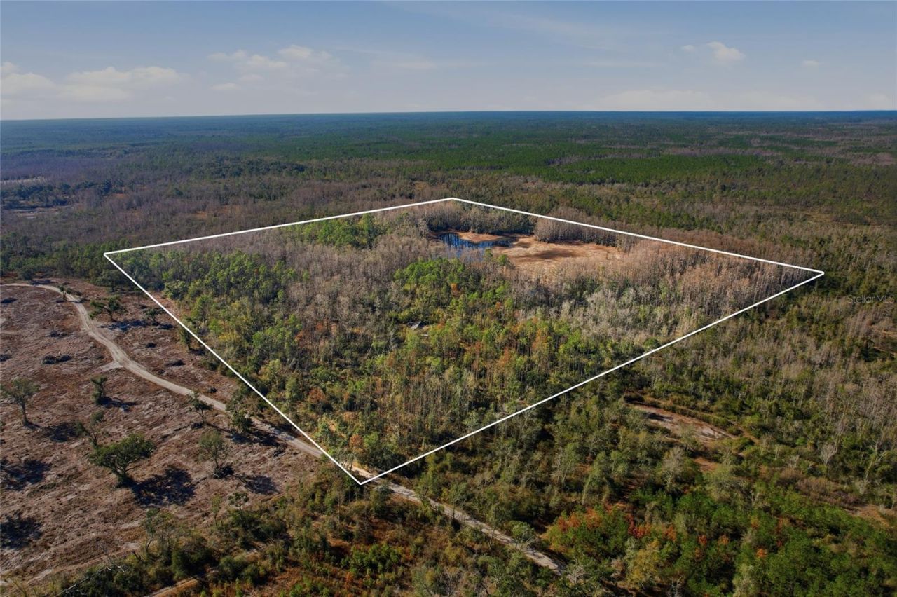 Sw Tower Road, Lee, FL 32059 Photo