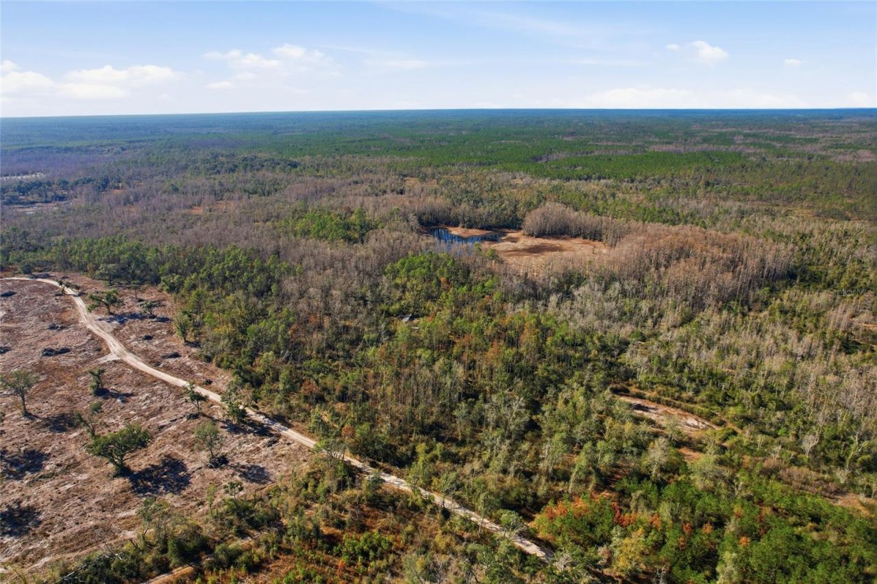 Sw Tower Road, Lee, FL 32059 Photo