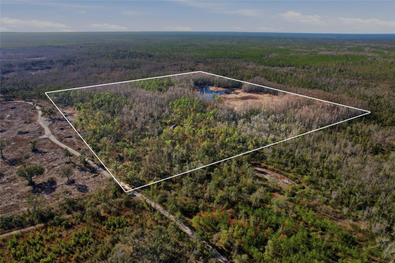 Sw Tower Road, Lee, FL 32059 Photo