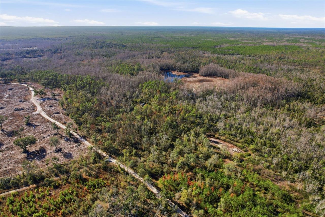 Sw Tower Road, Lee, FL 32059 Photo