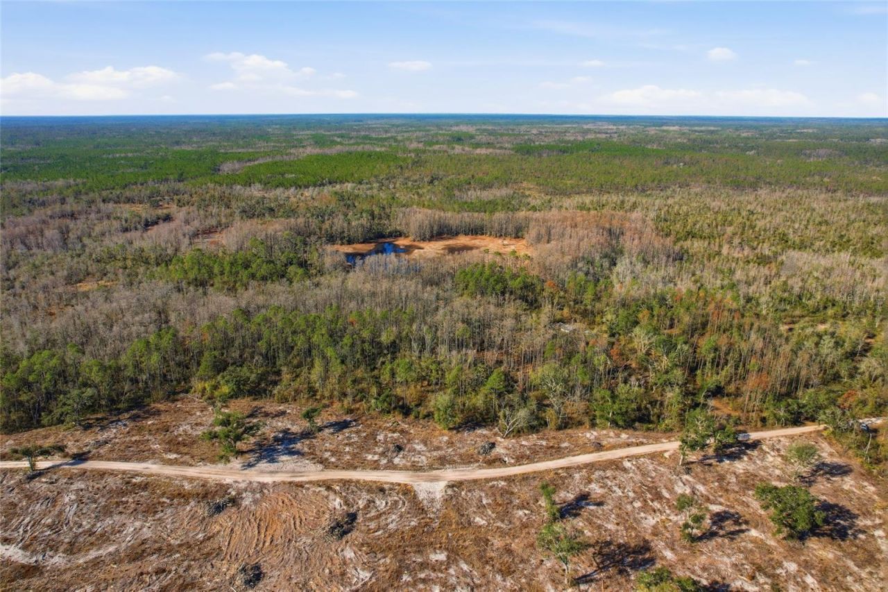 Sw Tower Road, Lee, FL 32059 Photo