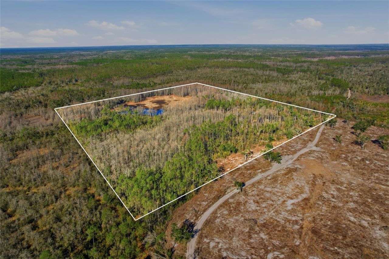 Sw Tower Road, Lee, FL 32059 Photo