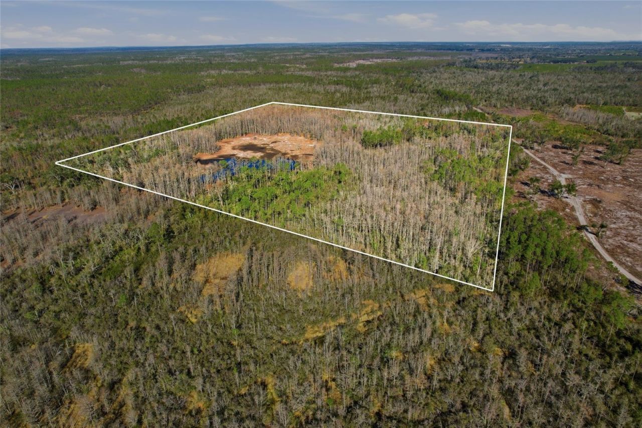 Sw Tower Road, Lee, FL 32059 Photo