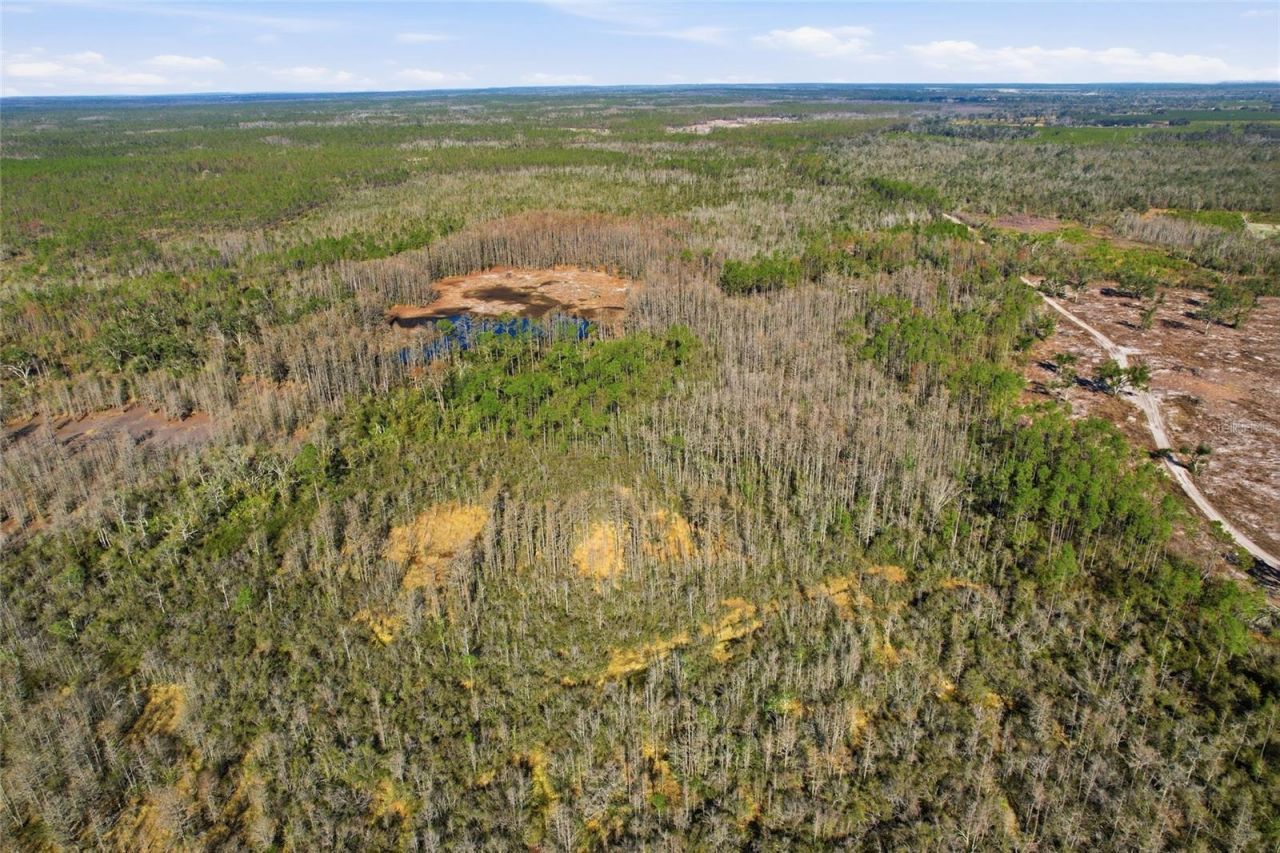 Sw Tower Road, Lee, FL 32059 Photo