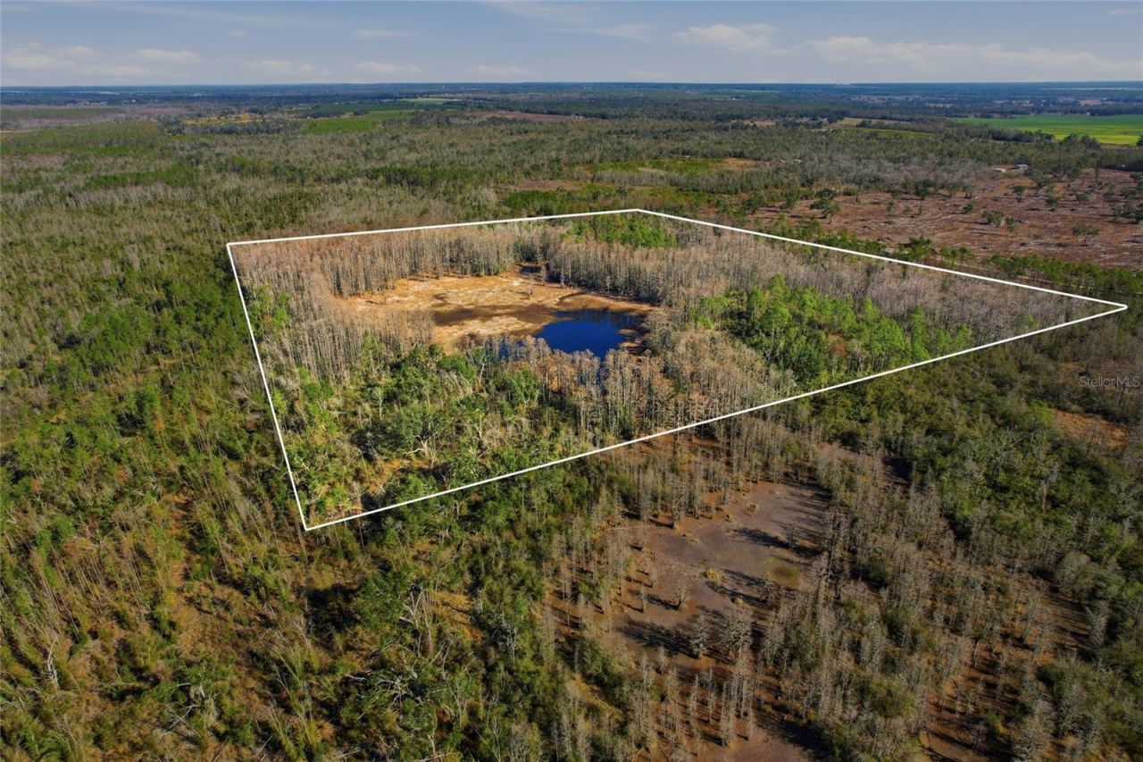 Sw Tower Road, Lee, FL 32059 Photo