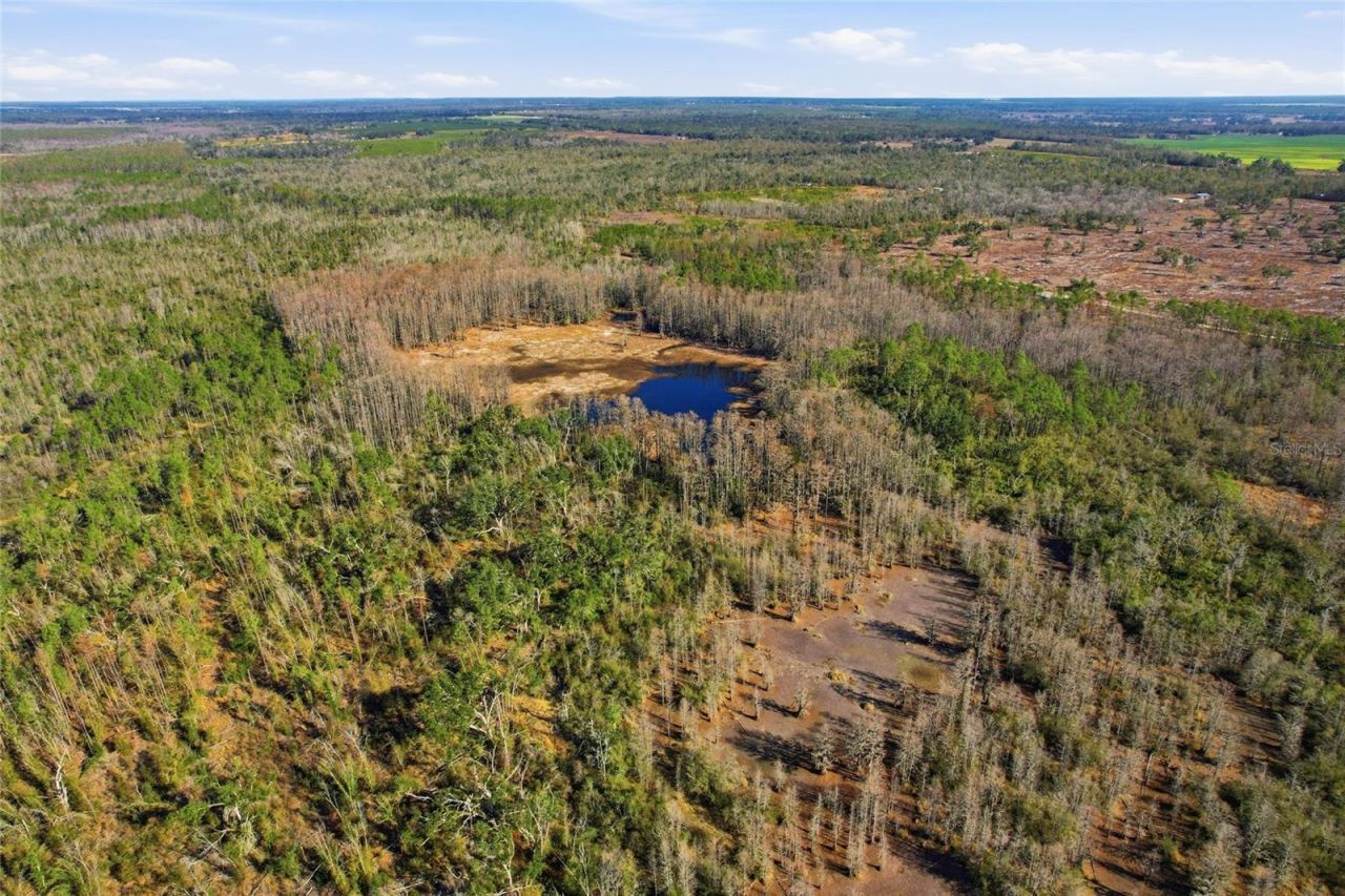 Sw Tower Road, Lee, FL 32059 Photo