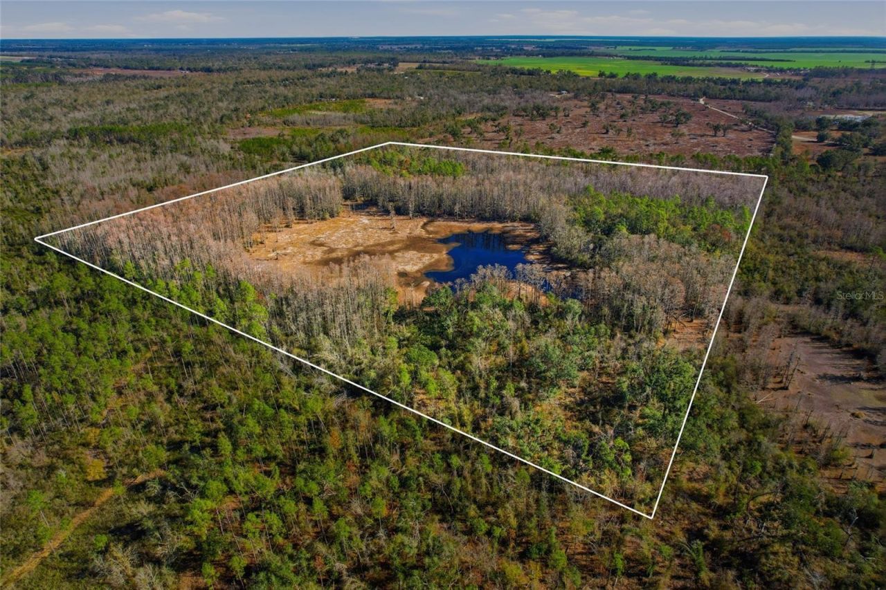 Sw Tower Road, Lee, FL 32059 Photo