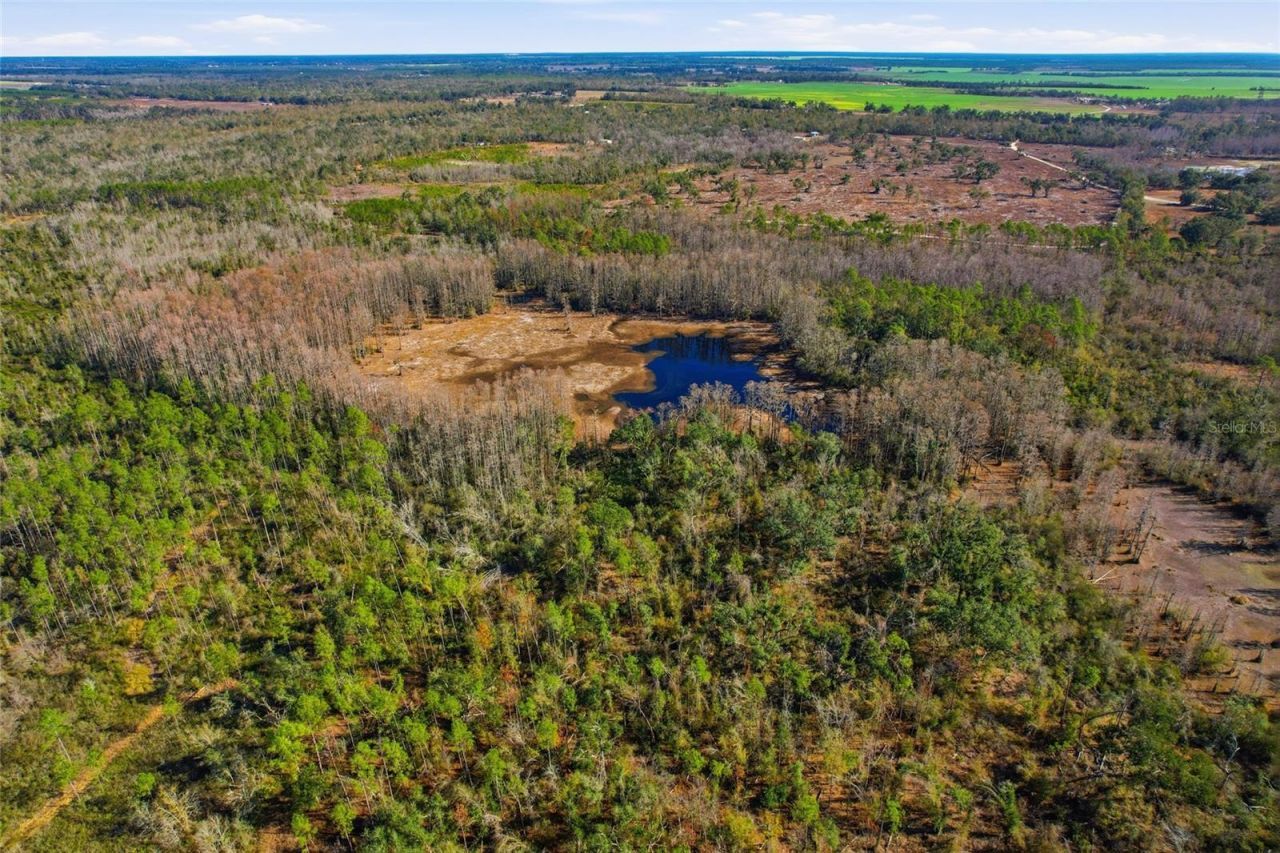 Sw Tower Road, Lee, FL 32059 Photo