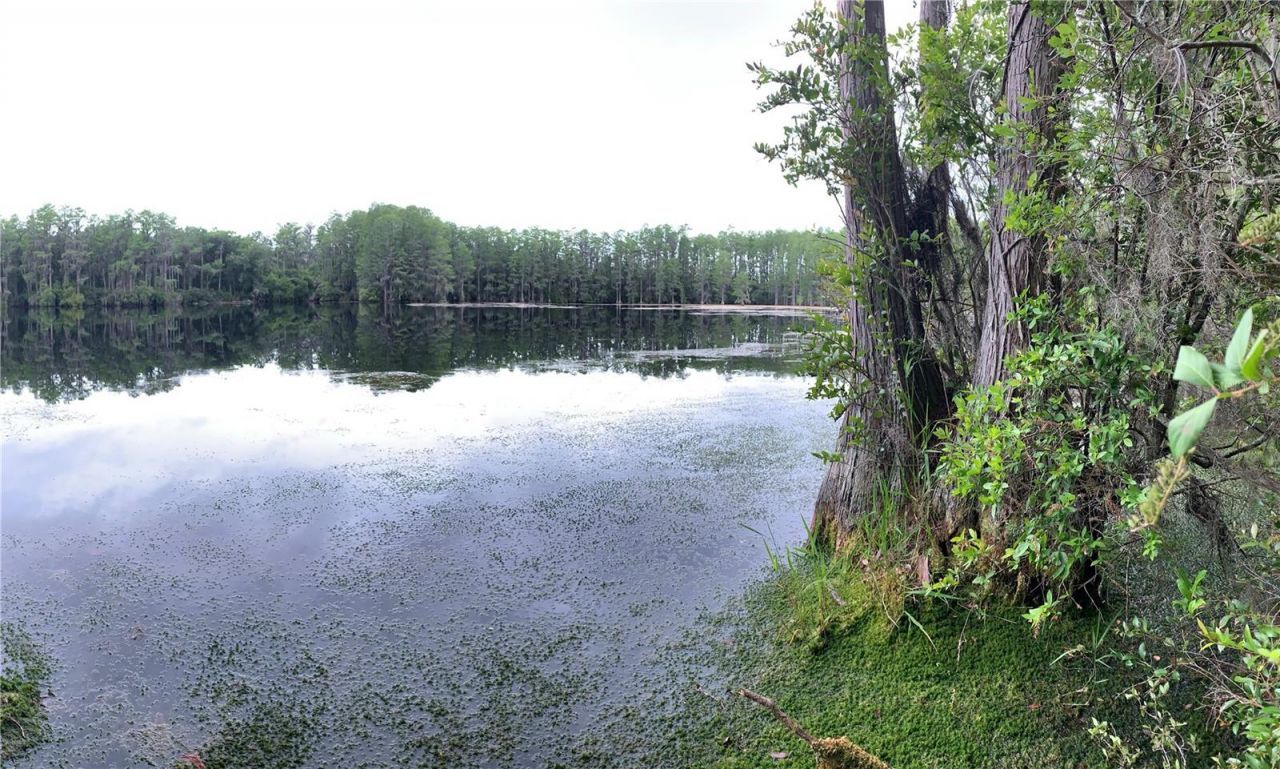 Sw Tower Road, Lee, FL 32059 Photo