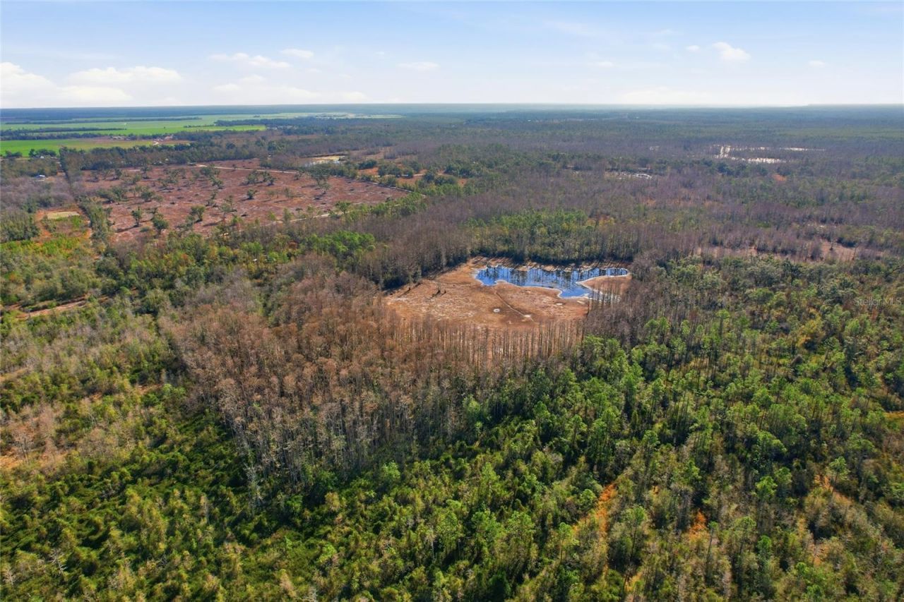 Sw Tower Road, Lee, FL 32059 Photo