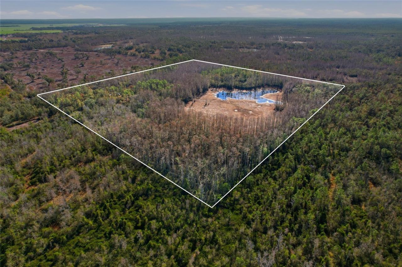 Sw Tower Road, Lee, FL 32059 Photo