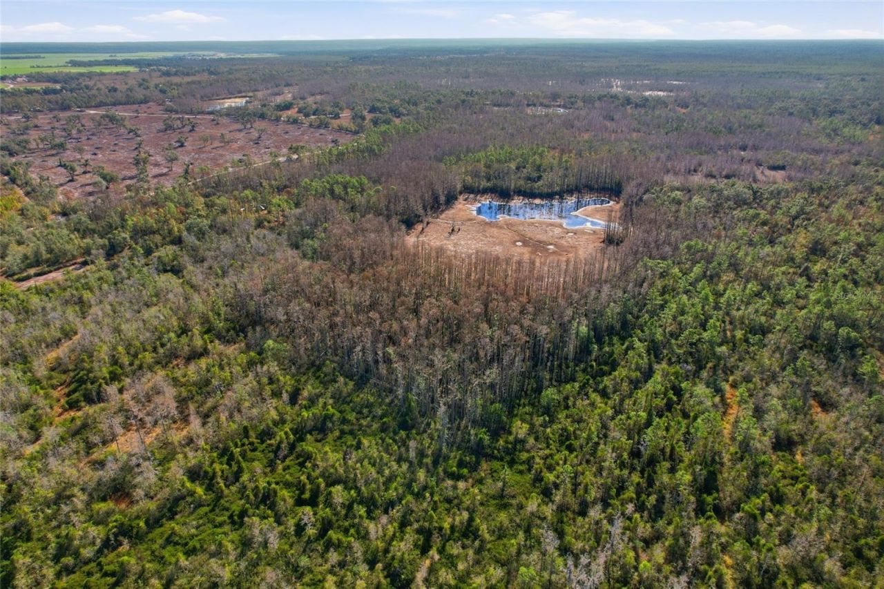 Sw Tower Road, Lee, FL 32059 Photo