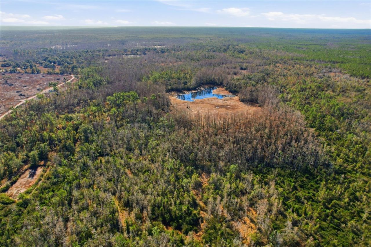 Sw Tower Road, Lee, FL 32059 Photo