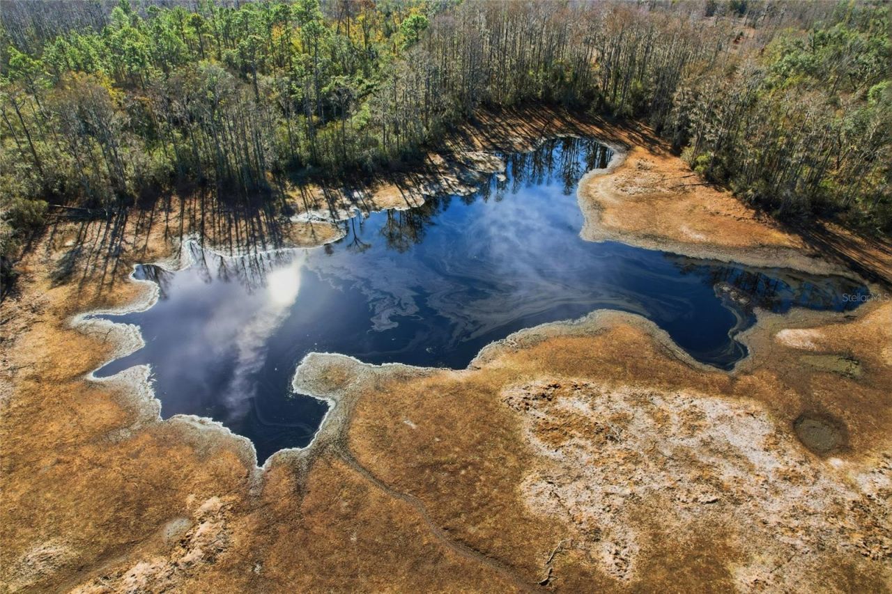 Sw Tower Road, Lee, FL 32059 Photo