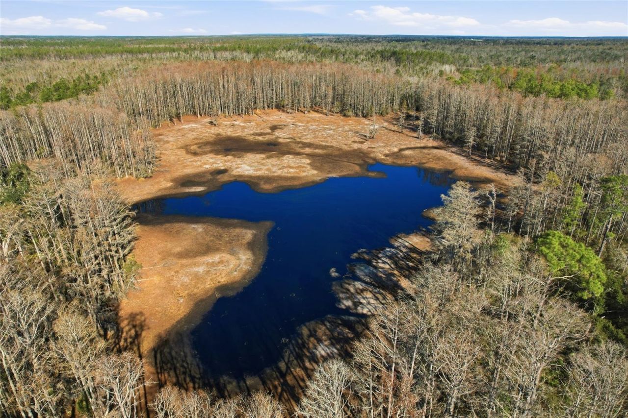 Sw Tower Road, Lee, FL 32059 Photo