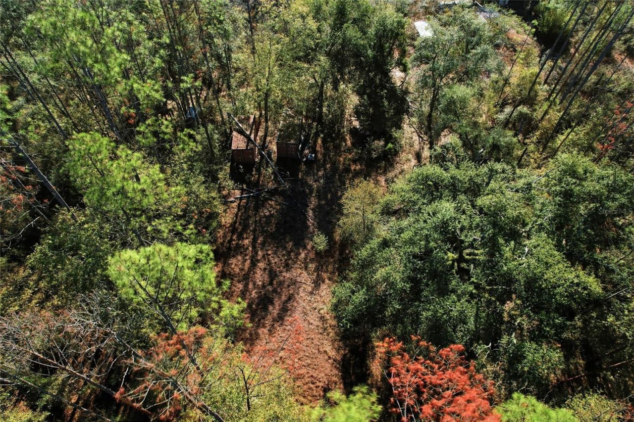 Sw Tower Road, Lee, FL 32059 Photo