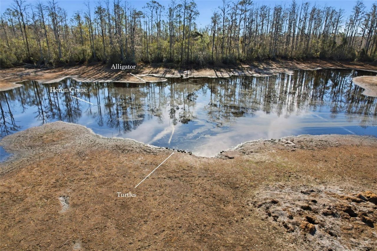 Sw Tower Road, Lee, FL 32059 Photo