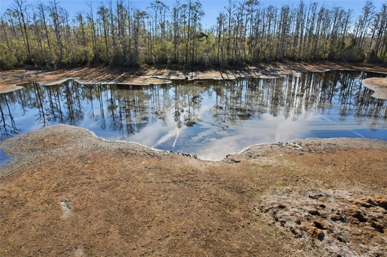 Sw Tower Road, Lee, FL 32059 Photo