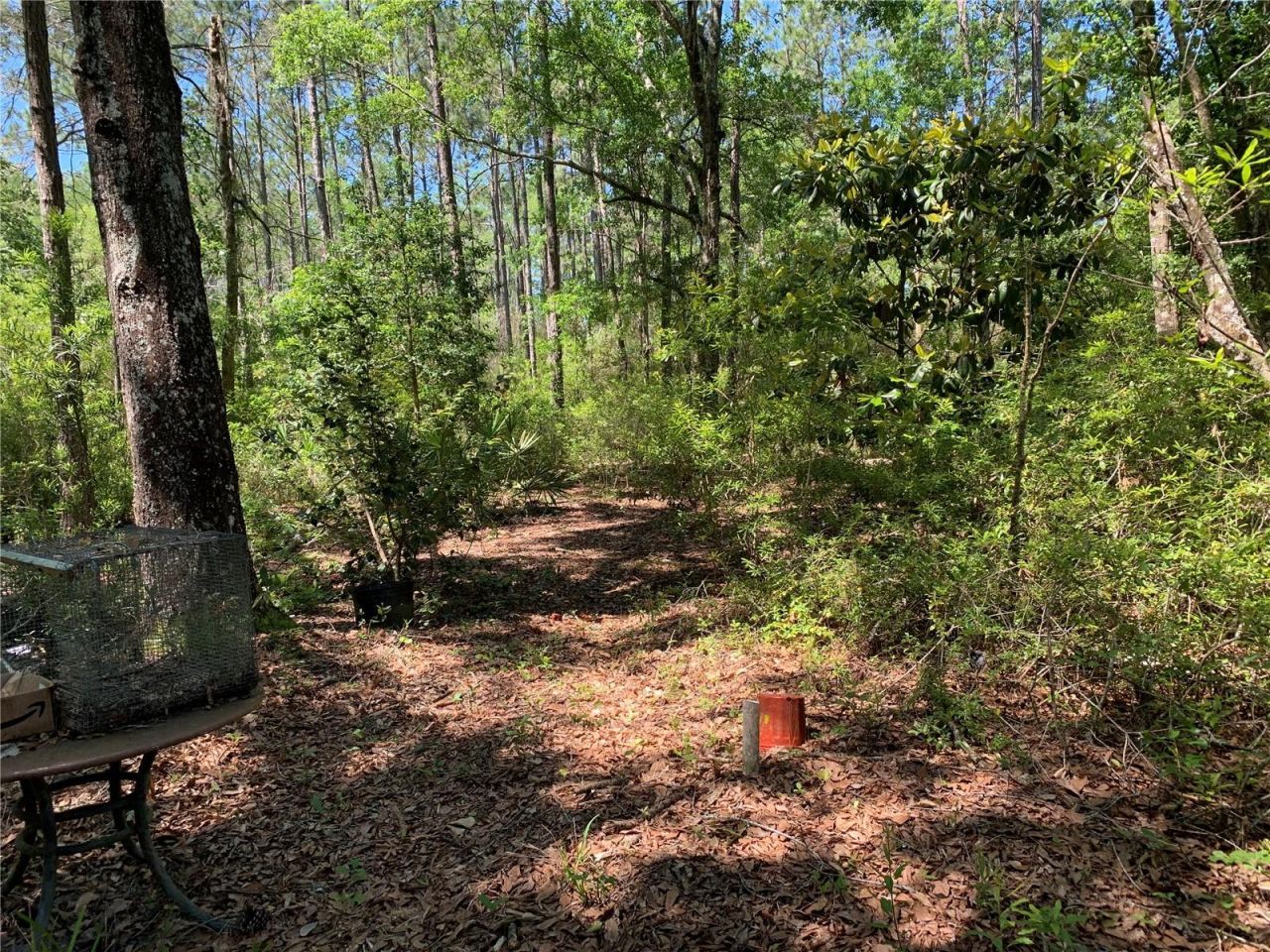 Sw Tower Road, Lee, FL 32059 Photo