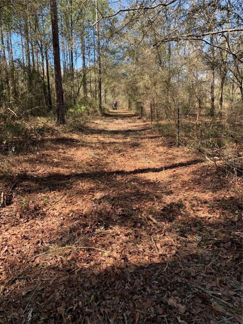 Sw Tower Road, Lee, FL 32059 Photo