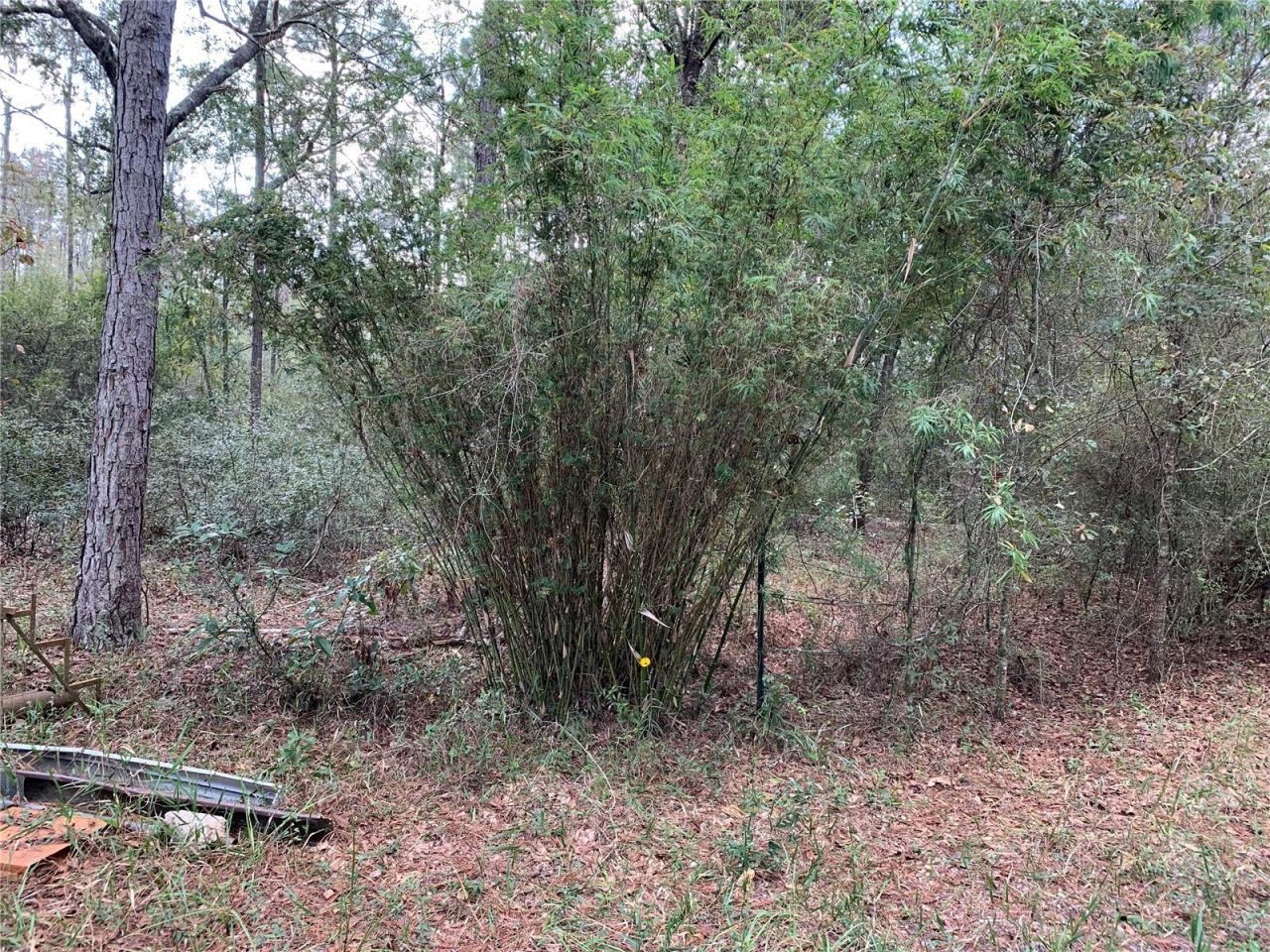 Sw Tower Road, Lee, FL 32059 Photo