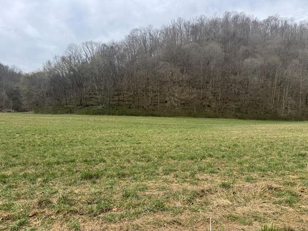 561 Pine Lick Rd, Whitleyville, TN 38588