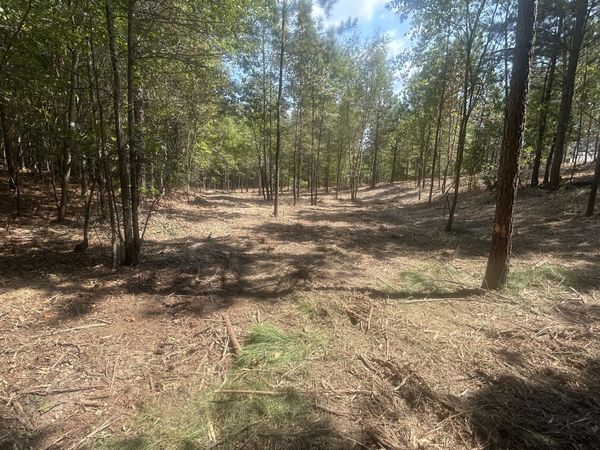 13 Stonechase Lane, Cohutta, GA 30710