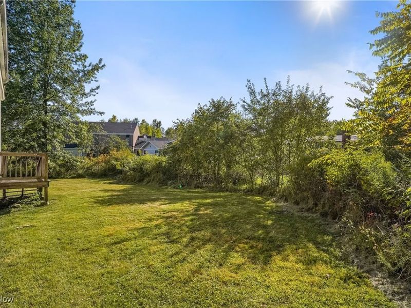 16690 Dayton Street, Chagrin Falls, OH 44023 Photo 29