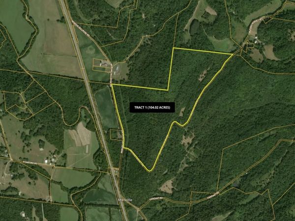 0 McBurg Dellrose Rd Tract 1, Dellrose, TN 38453