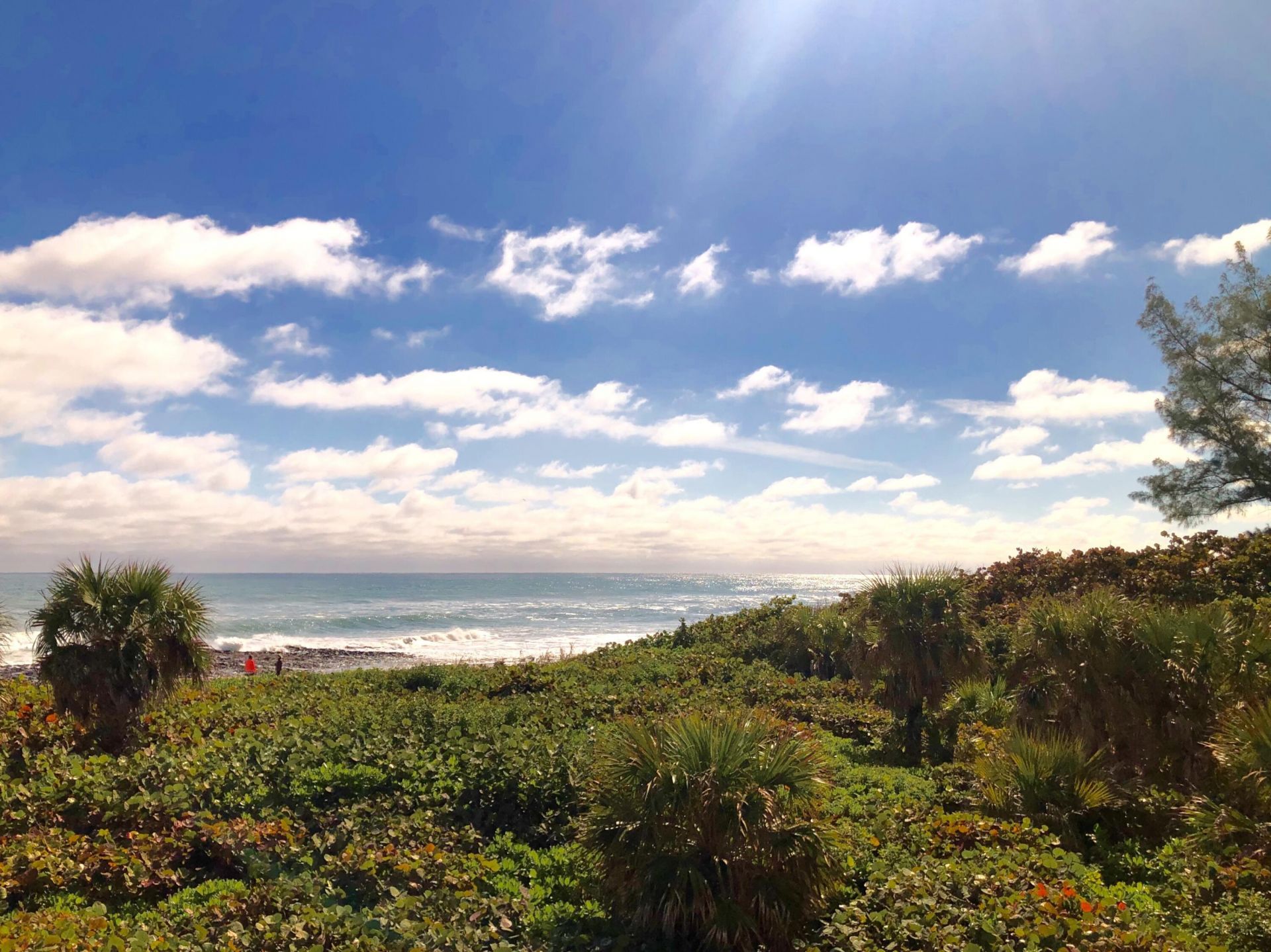 4000 N Ocean Drive, Unit 902, Singer Island, FL 33404 Photo