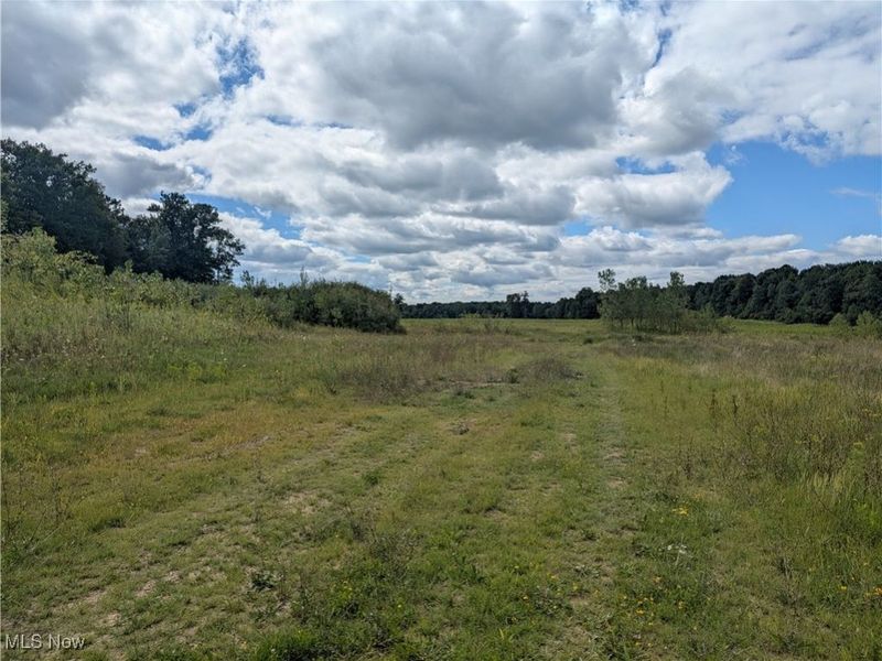 9019 Sr 45 Road, Saybrook, OH 44010 Photo 2