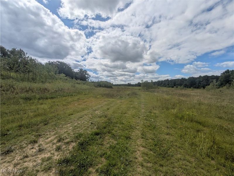 9019 Sr 45 Road, Saybrook, OH 44010 Photo 3