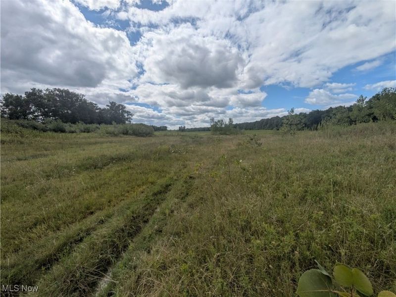 9019 Sr 45 Road, Saybrook, OH 44010 Photo 4