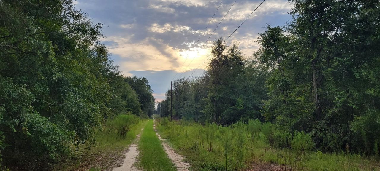 Tbd NE Cedar Trail, Pinetta, FL 32350 Photo