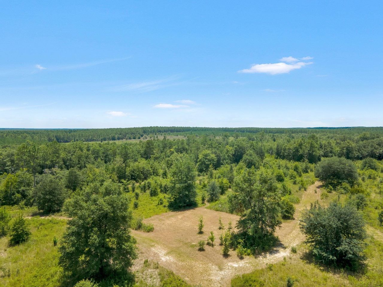 Tbd NE Cedar Trail, Pinetta, FL 32350 Photo