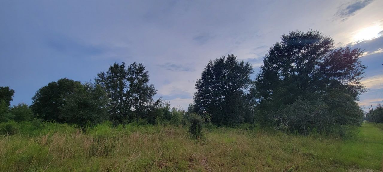 Tbd NE Cedar Trail, Pinetta, FL 32350 Photo