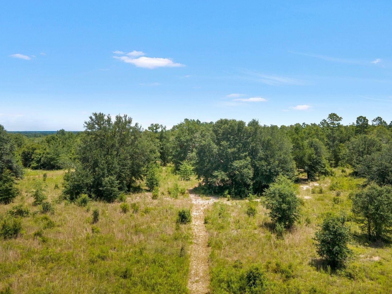 Tbd NE Cedar Trail, Pinetta, FL 32350 Photo