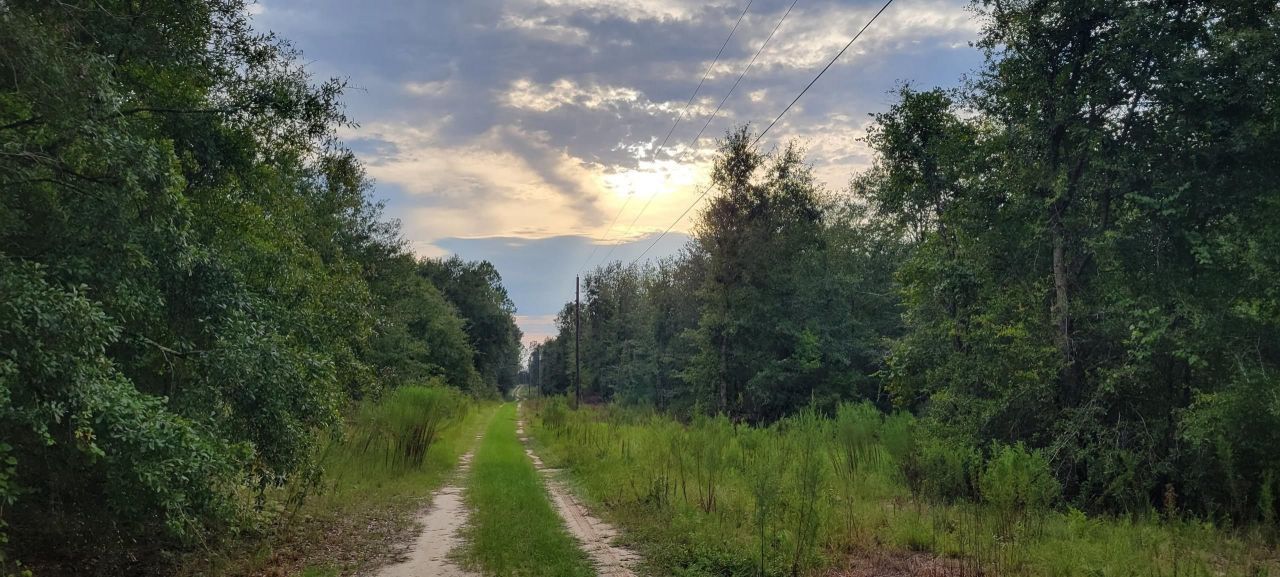 Tbd NE Cedar Trail, Pinetta, FL 32350 Photo