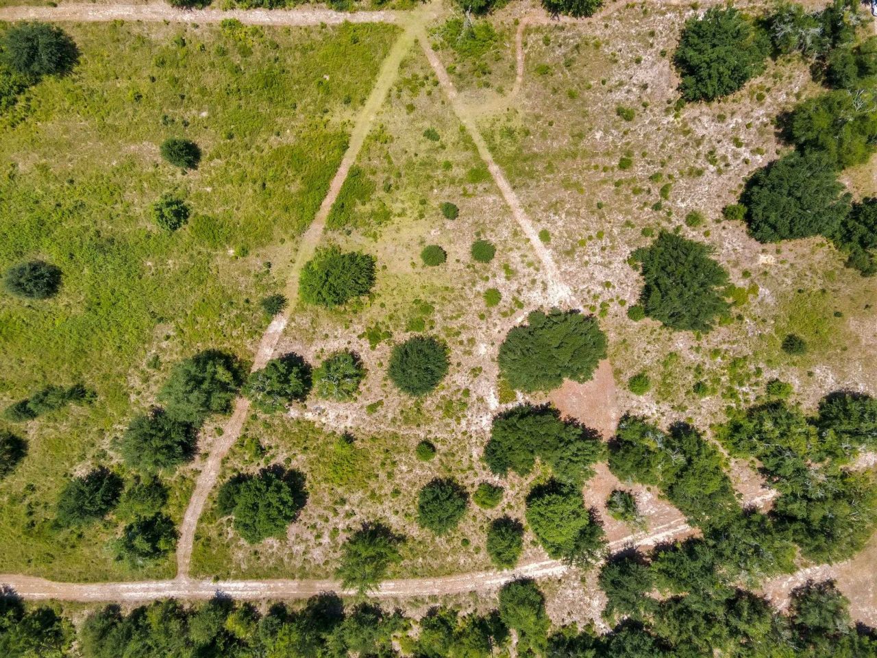 Tbd NE Cedar Trail, Pinetta, FL 32350 Photo