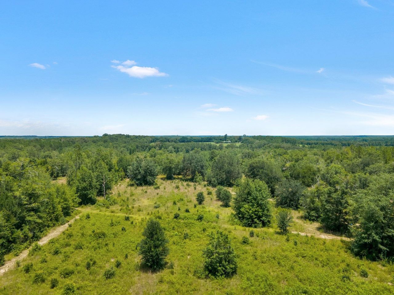 Tbd NE Cedar Trail, Pinetta, FL 32350 Photo