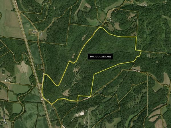 0 McBurg Dellrose Rd Tract 2, Dellrose, TN 38453