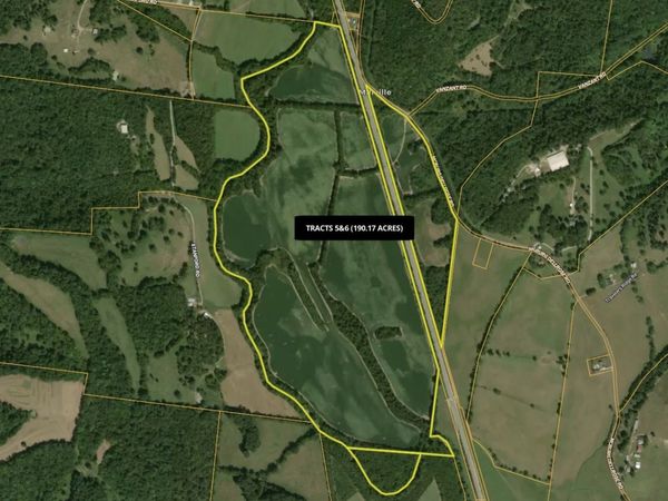 0 McBurg Dellrose Rd Tract 3, Dellrose, TN 38453