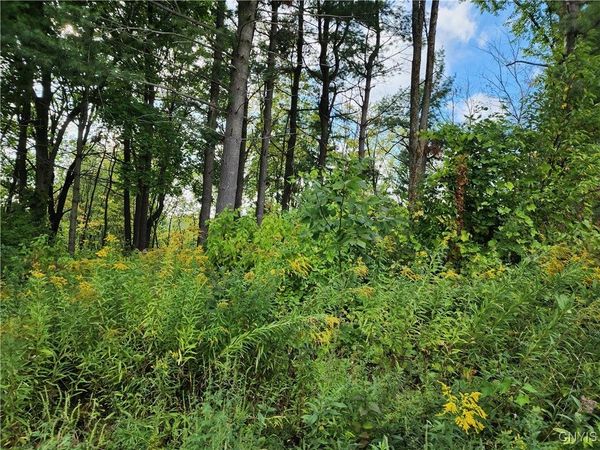 33269 Broadwell Road, Theresa, NY 13691