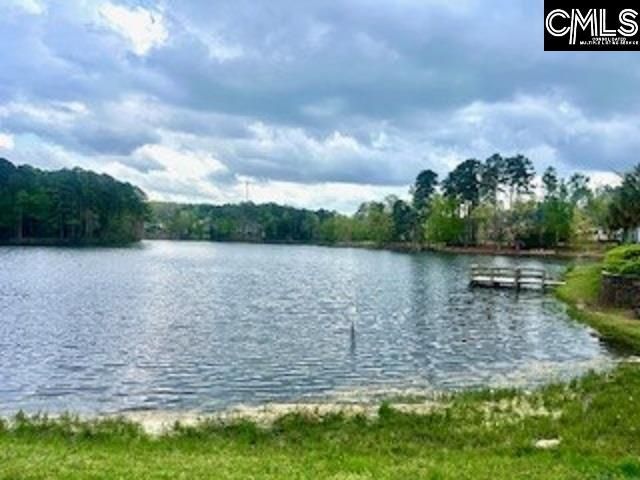 134 Clubside Drive Photo 28